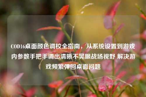 COD16桌面颜色调校全指南，从系统设置到游戏内参数手把手调出清晰不晃眼战场视野 解决游戏频繁弹回桌面问题