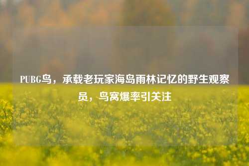 PUBG鸟，承载老玩家海岛雨林记忆的野生观察员，鸟窝爆率引关注
