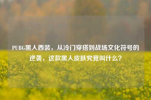 PUBG黑人西装，从冷门穿搭到战场文化符号的逆袭，这款黑人皮肤究竟叫什么？