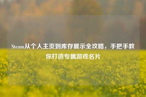 Steam从个人主页到库存展示全攻略，手把手教你打造专属游戏名片
