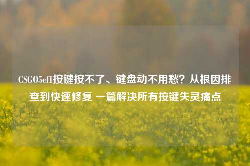 CSGO5ef1按键按不了、键盘动不用愁?从根因排查到快速修复 一篇解决所有按键失灵痛点