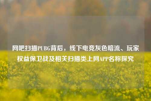 网吧扫描PUBG背后,线下电竞灰色暗流、玩家权益保卫战及相关扫描类上网APP名称探究