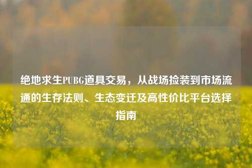 绝地求生PUBG道具交易,从战场捡装到市场流通的生存法则、生态变迁及高性价比平台选择指南