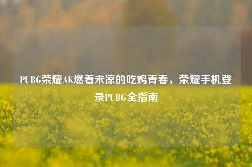 PUBG荣耀AK燃着未凉的吃鸡青春，荣耀手机登录PUBG全指南