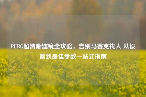 PUBG超清晰滤镜全攻略，告别马赛克找人 从设置到最佳参数一站式指南
