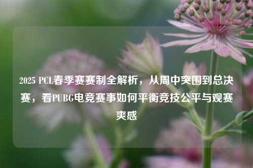 2025 PCL春季赛赛制全解析，从周中突围到总决赛，看PUBG电竞赛事如何平衡竞技公平与观赛爽感