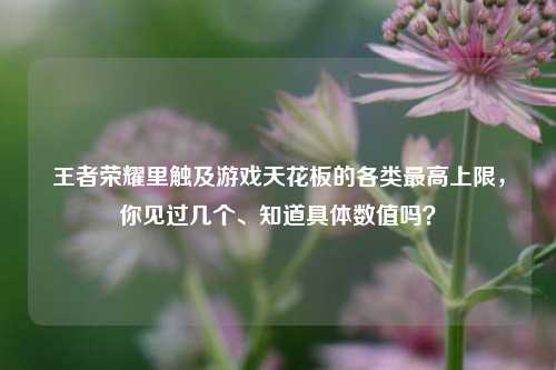 王者荣耀里触及游戏天花板的各类最高上限,你见过几个、知道具体数值吗?