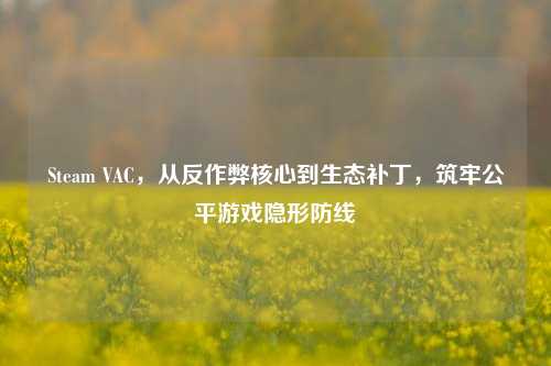 Steam VAC，从反作弊核心到生态补丁，筑牢公平游戏隐形防线