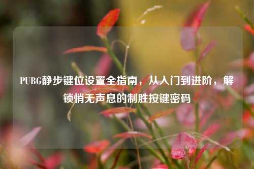 PUBG静步键位设置全指南，从入门到进阶，解锁悄无声息的制胜按键密码