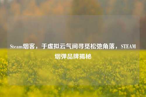 Steam烟客，于虚拟云气间寻觅松弛角落，STEAM烟弹品牌揭秘