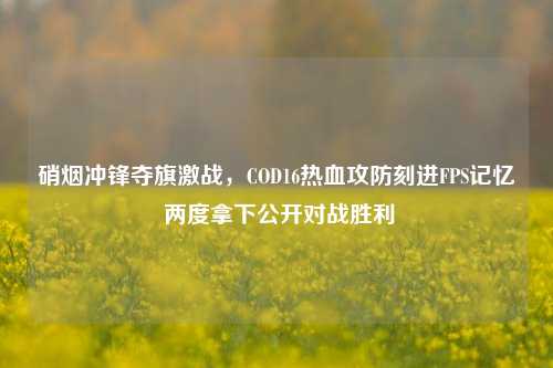 硝烟冲锋夺旗激战，COD16热血攻防刻进FPS记忆 两度拿下公开对战胜利