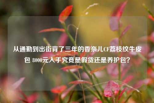 从通勤到出街背了三年的香奈儿CF荔枝纹牛皮包 8000元入手究竟是假货还是养护包？