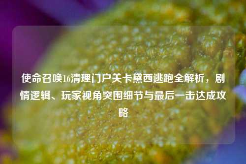 使命召唤16清理门户关卡黛西逃跑全解析，剧情逻辑、玩家视角突围细节与最后一击达成攻略