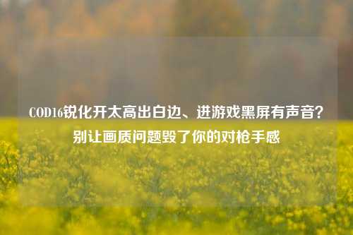 COD16锐化开太高出白边、进游戏黑屏有声音?别让画质问题毁了你的对枪手感