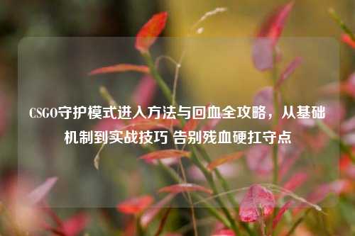 CSGO守护模式进入方法与回血全攻略，从基础机制到实战技巧 告别残血硬扛守点