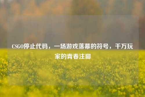 CSGO停止代码，一场游戏落幕的符号，千万玩家的青春注脚