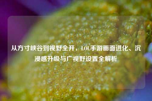 从方寸峡谷到视野全开，LOL手游画面进化、沉浸感升级与广视野设置全解析