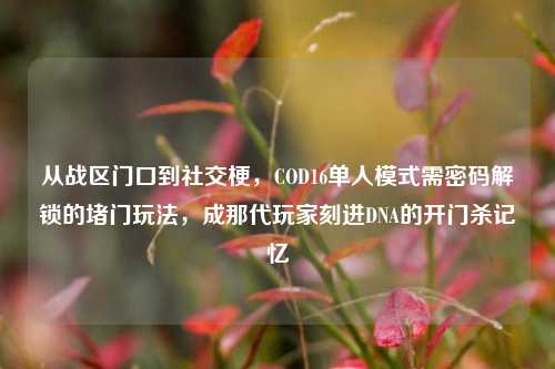 从战区门口到社交梗，COD16单人模式需密码解锁的堵门玩法，成那代玩家刻进DNA的开门杀记忆