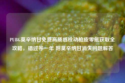 PUBG莫辛纳甘免费高质感栓动枪皮零氪获取全攻略，错过等一年 附莫辛纳甘消失问题解答