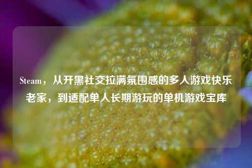 Steam，从开黑社交拉满氛围感的多人游戏快乐老家，到适配单人长期游玩的单机游戏宝库