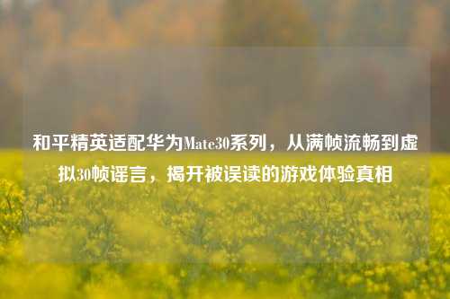和平精英适配华为Mate30系列，从满帧流畅到虚拟30帧谣言，揭开被误读的游戏体验真相