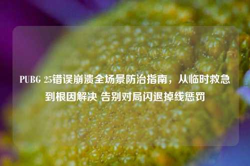 PUBG 25错误崩溃全场景防治指南，从临时救急到根因解决 告别对局闪退掉线惩罚