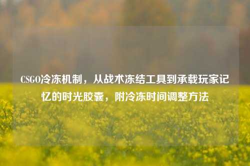 CSGO冷冻机制，从战术冻结工具到承载玩家记忆的时光胶囊，附冷冻时间调整方法