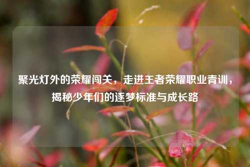 聚光灯外的荣耀闯关，走进王者荣耀职业青训，揭秘少年们的逐梦标准与成长路