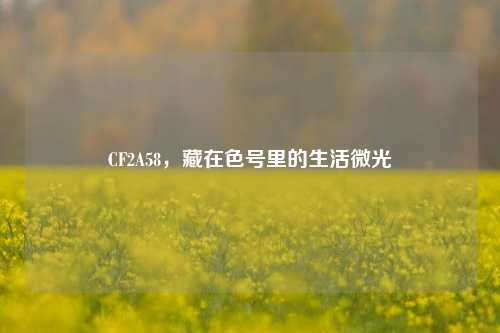 CF2A58，藏在色号里的生活微光