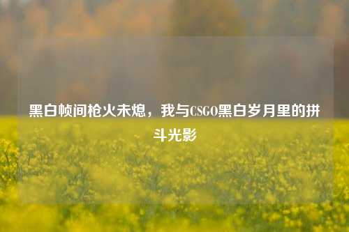 黑白帧间枪火未熄，我与CSGO黑白岁月里的拼斗光影