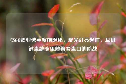 CSGO职业选手赛前隐秘，聚光灯亮起前，耳机键盘缝隙里藏着看盘口的暗战