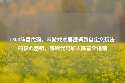 CSGO阵营代码，从游戏底层逻辑到自定义玩法的核心密钥，解锁代码加入阵营全指南