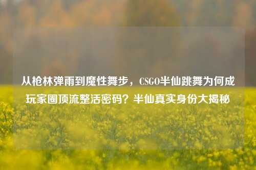 从枪林弹雨到魔性舞步，CSGO半仙跳舞为何成玩家圈顶流整活密码？半仙真实身份大揭秘