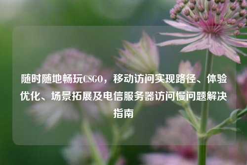 随时随地畅玩CSGO，移动访问实现路径、体验优化、场景拓展及电信服务器访问慢问题解决指南