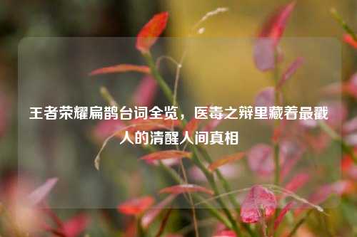 王者荣耀扁鹊台词全览，医毒之辩里藏着最戳人的清醒人间真相