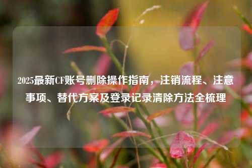 2025最新CF账号删除操作指南，注销流程、注意事项、替代方案及登录记录清除方法全梳理