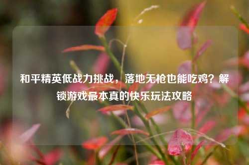 和平精英低战力挑战，落地无枪也能吃鸡？解锁游戏最本真的快乐玩法攻略