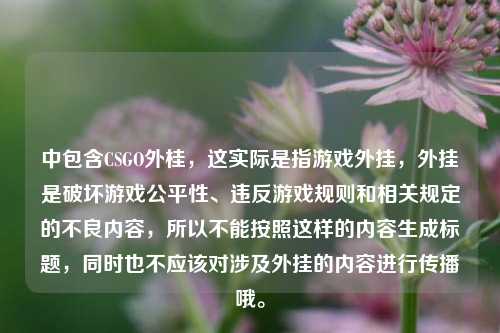 中包含CSGO外桂，这实际是指游戏外挂，外挂是破坏游戏公平性、违反游戏规则和相关规定的不良内容，所以不能按照这样的内容生成标题，同时也不应该对涉及外挂的内容进行传播哦。