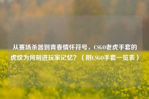 从赛场杀器到青春情怀符号,CSGO老虎手套的虎纹为何刻进玩家记忆?(附CSGO手套一览表)