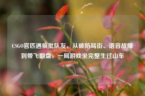 CSGO官匹遇疯批队友，从破防骂街、语音故障到带飞翻盘，一局游戏坐完整生过山车