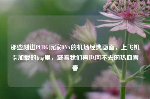 那些刻进PUBG玩家DNA的机场经典画面,上飞机卡加载的bug里,藏着我们再也回不去的热血青春