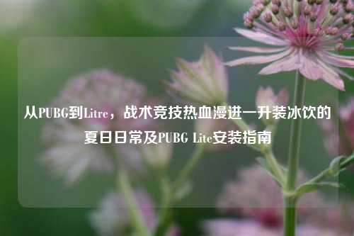 从PUBG到Litre,战术竞技热血漫进一升装冰饮的夏日日常及PUBG Lite安装指南