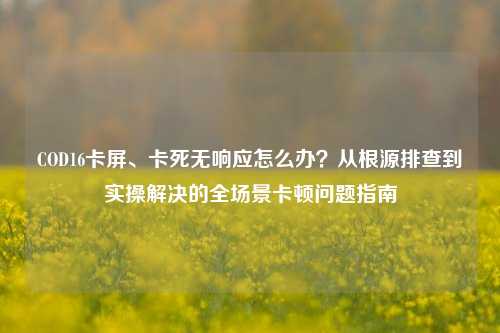 COD16卡屏、卡死无响应怎么办？从根源排查到实操解决的全场景卡顿问题指南