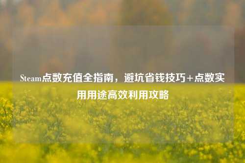 Steam点数充值全指南,避坑省钱技巧+点数实用用途高效利用攻略