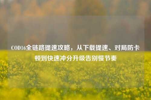 COD16全链路提速攻略,从下载提速、对局防卡顿到快速冲分升级告别慢节奏