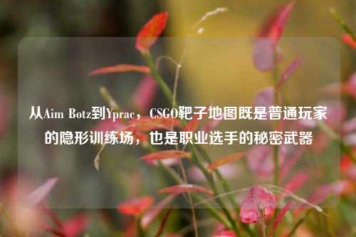 从Aim Botz到Yprac，CSGO靶子地图既是普通玩家的隐形训练场，也是职业选手的秘密武器