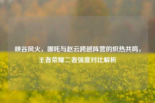 峡谷风火,哪吒与赵云跨越阵营的炽热共鸣,王者荣耀二者强度对比解析