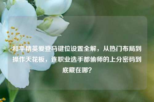 和平精英爱登马键位设置全解，从热门布局到操作天花板，连职业选手都偷师的上分密码到底藏在哪？