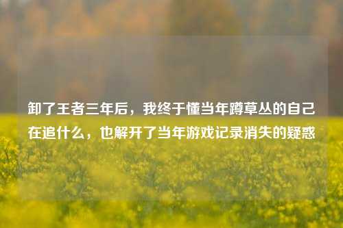 卸了王者三年后,我终于懂当年蹲草丛的自己在追什么,也解开了当年游戏记录消失的疑惑