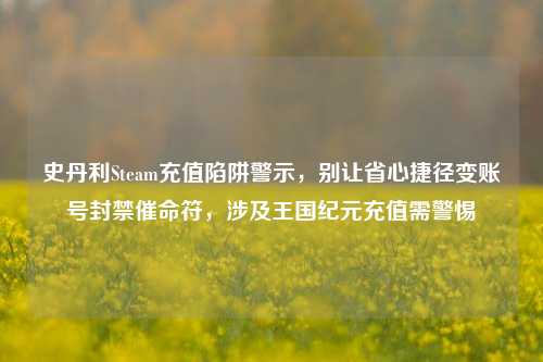 史丹利Steam充值陷阱警示，别让省心捷径变账号封禁催命符，涉及王国纪元充值需警惕